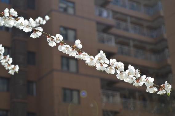 927496e00c6e08241a500b567a602d4