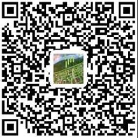 创新港行道树冠名众筹捐赠入口