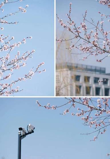 bddf93fc3a7ef2c645a815b99fcf20d