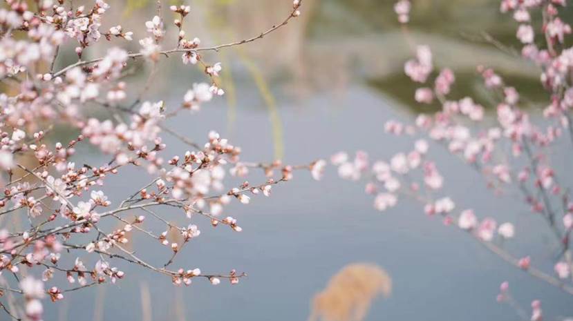 d63e7ca82fb6aa0dde1d905db4e30e5